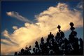 Treeline (after)