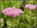 Nova Scotia