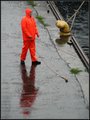 Dock Lines In The Rain