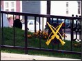 Park Colors - St Johns