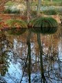 Reflection