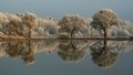 Elbe Shoreline