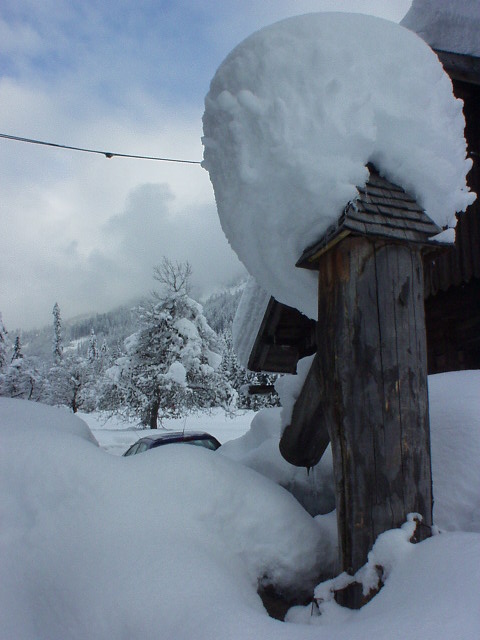 Snow Pole