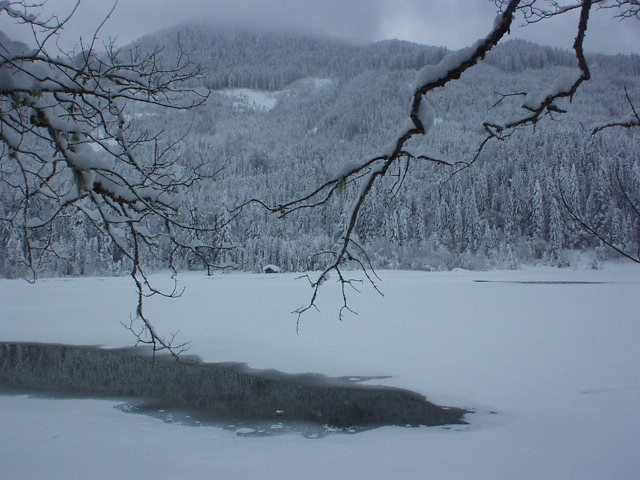 Winter am Jager See