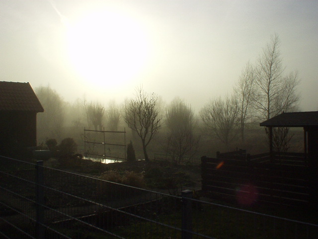 Fog Lifting