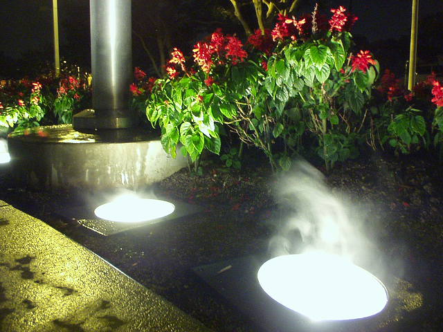 Steaming Rain