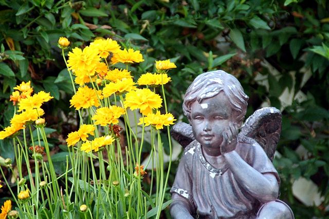 Thinking Yellow