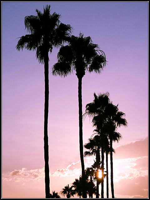 Barranca Sunset