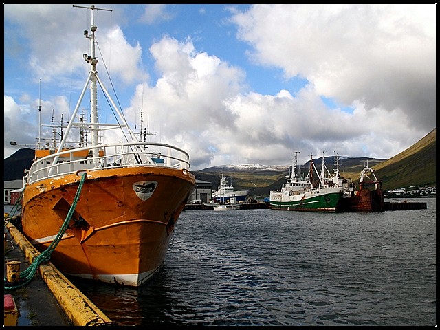 Fishing Fleet - Isafjordur