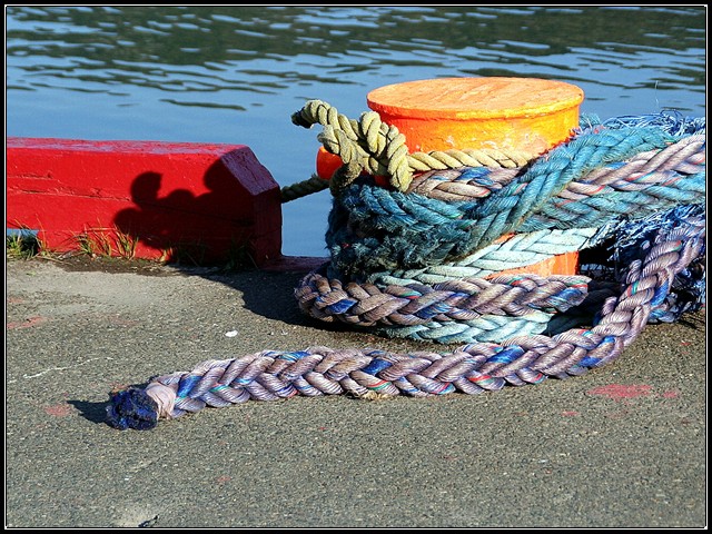 Dock Colors - St Johns