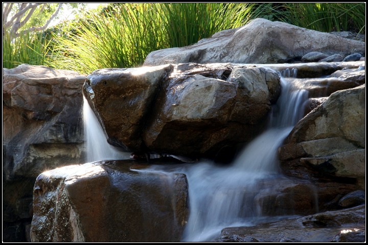 Tropical Cascade