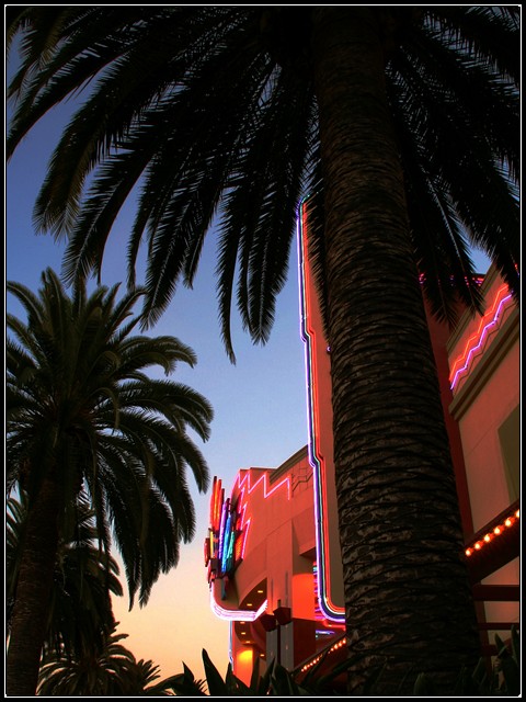 Palm Neon