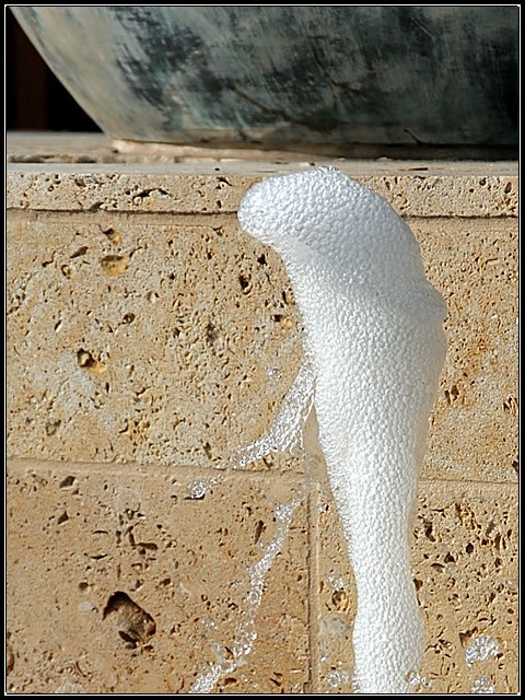 Water Cobra