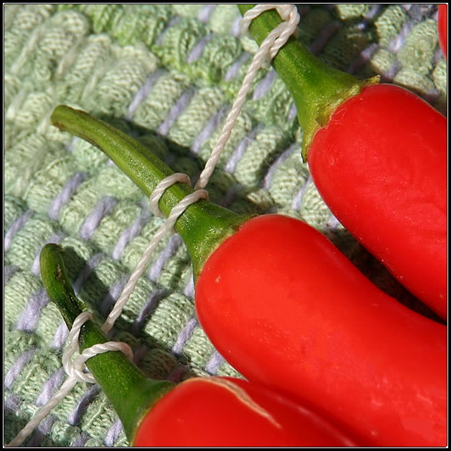 Pepper Rista