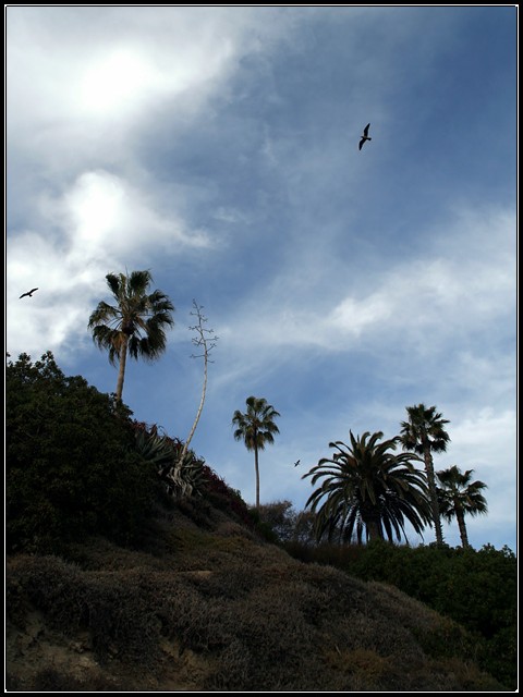 Laguna Soaring