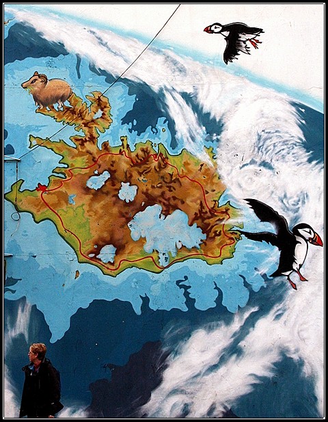 In Search Of Puffins