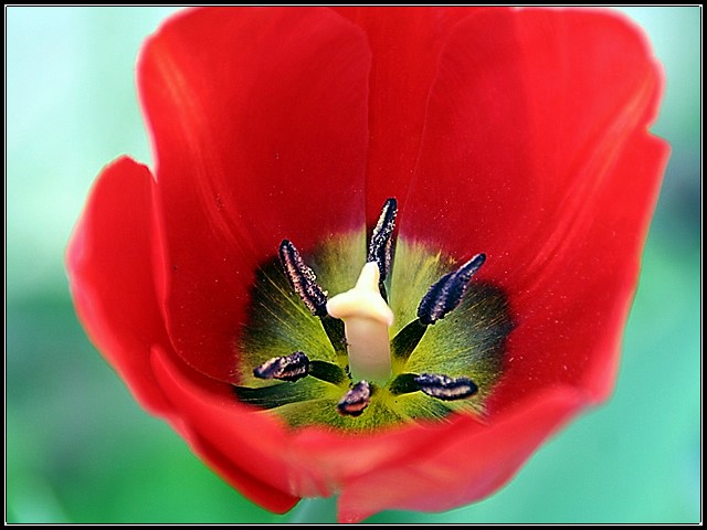 First of the Season!