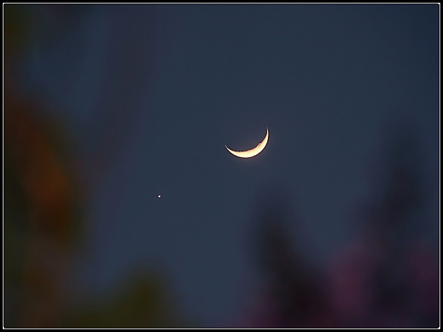 Moon & Venus II