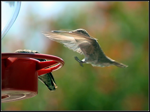 Incoming!