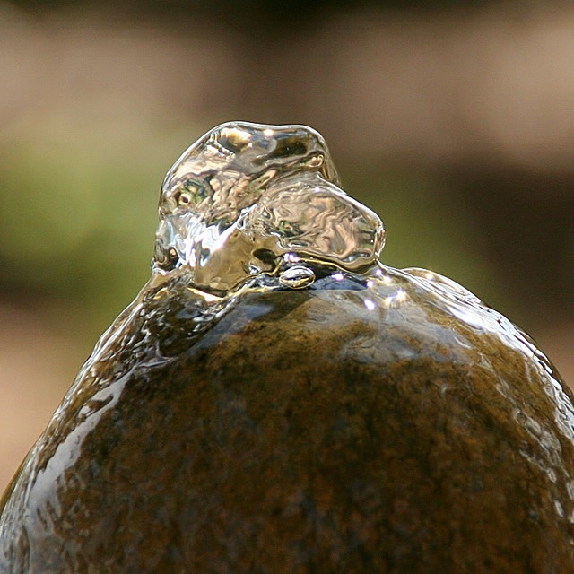 Liquid Duck!