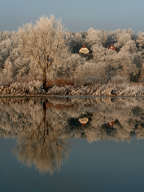 Mirrored Home on the Hill