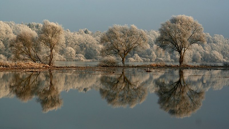 Elbe Shoreline
