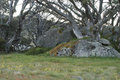  Rocky_Valley_DSC_0070.jpg
