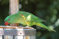 Bird_DSC_0449.jpg