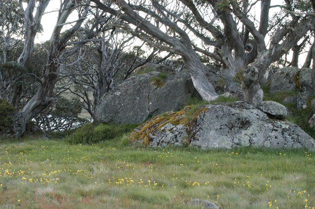  Rocky_Valley_DSC_0070.jpg