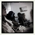 DMV1