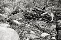 Holy Jim Trail 19