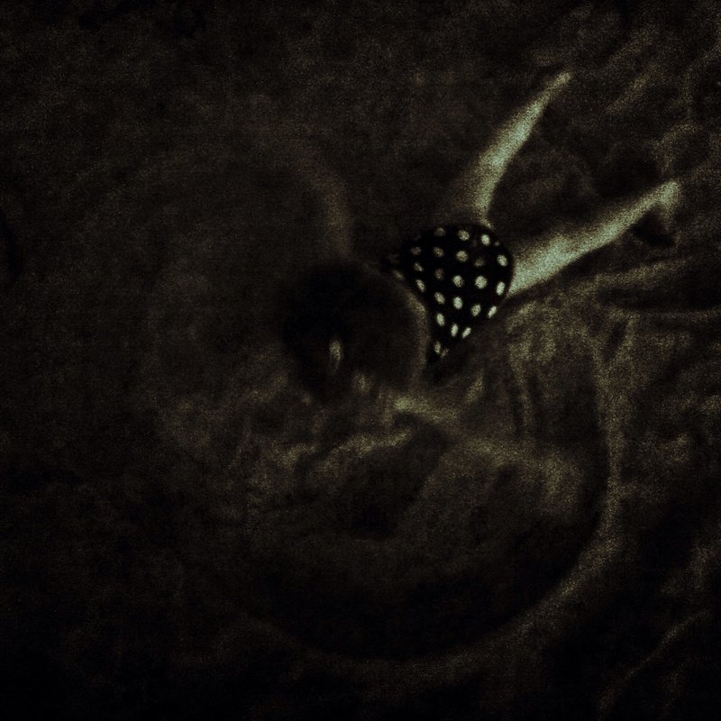 swimming in grain