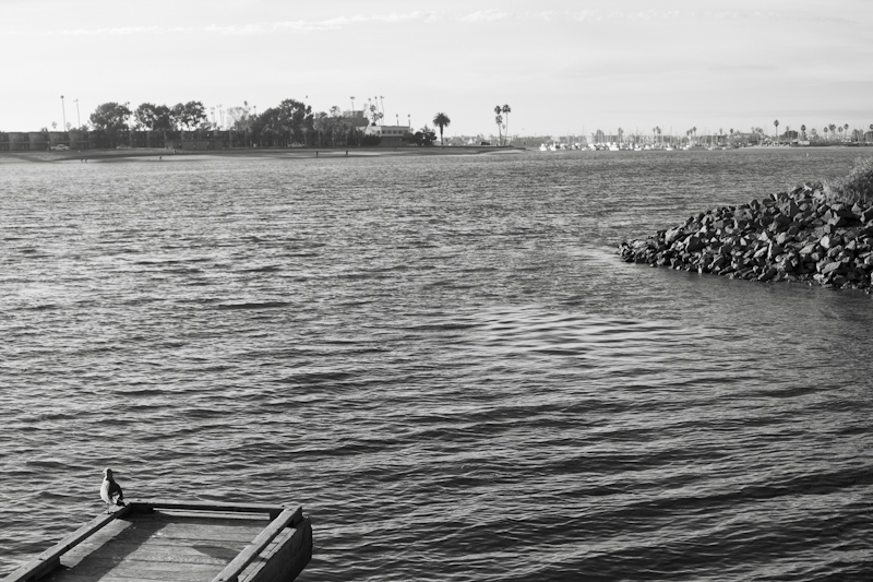 mission bay