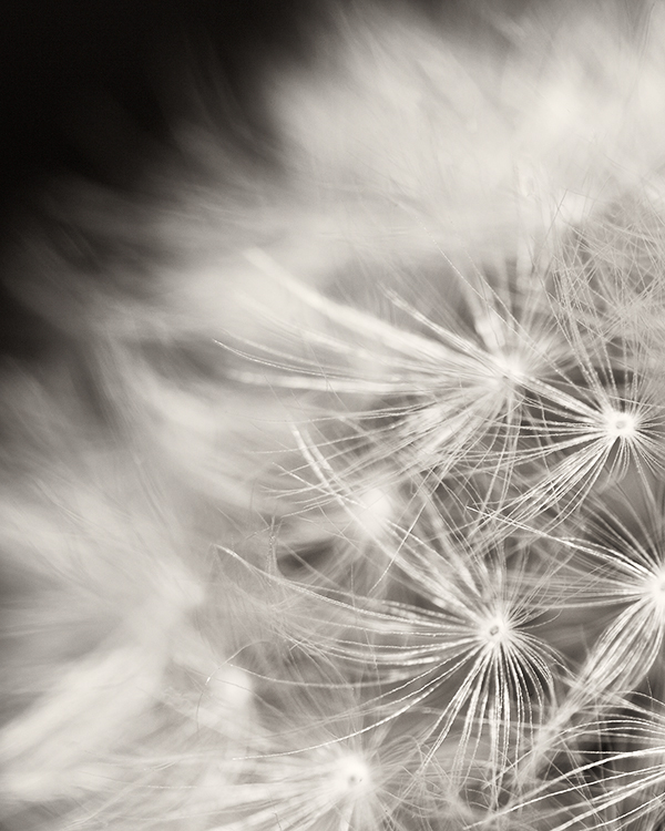 Autumn Breeze