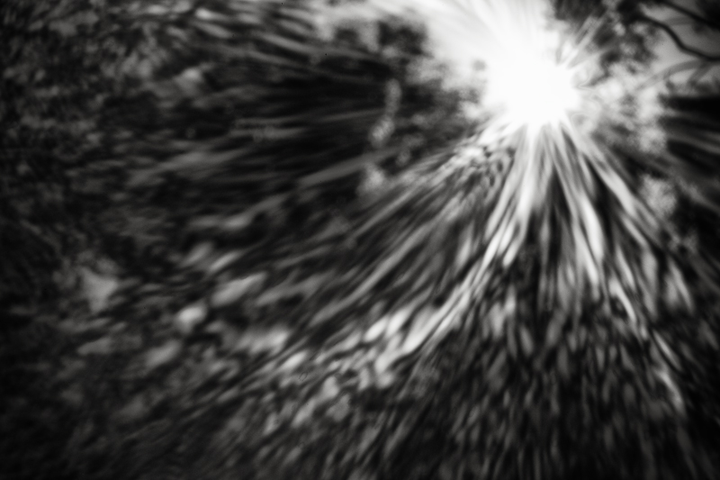 PinholeDay2010