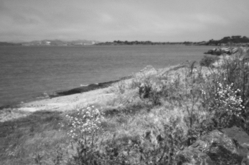 Berkeley-Marina,-Spring