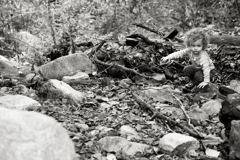 Holy Jim Trail 19