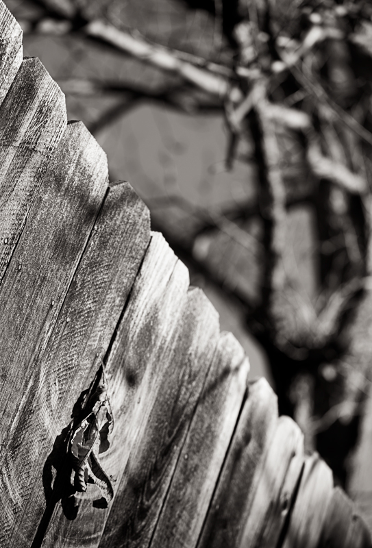 wood