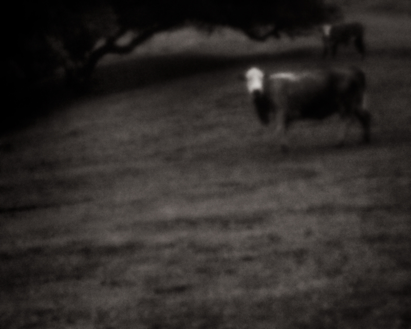 sourthern california #3