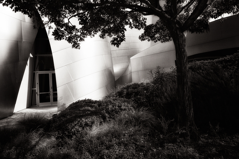 Atrium, Disney Concert Hall