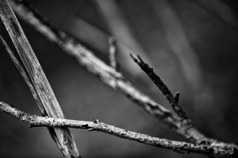 untitled angles