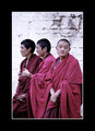 tIbEtaN mOnkS . . . . .