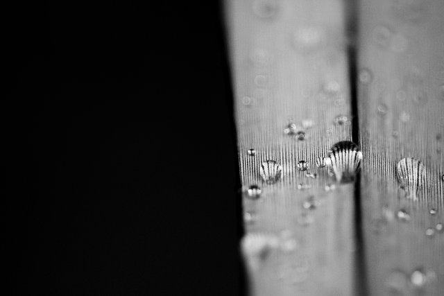 Focus Limits 1