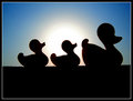 Into the sunset.jpg