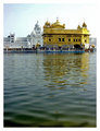 DSC02252copysmall.jpg
