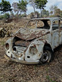 Rusty