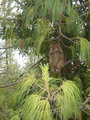Picture-006.jpg