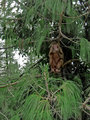 Picture-006-edit.jpg