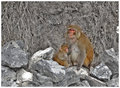 Protective