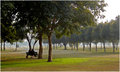 In the park